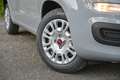 Fiat Panda Panda 1.0 firefly hybrid s Grigio - thumbnail 5