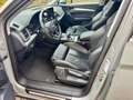 Audi Q5 Q5 PHEV 50 TFSi e Quattro Sport S tronic Gris - thumbnail 7