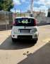 Fiat Panda Panda 1.0 FireFly S&S Hybrid Blanc - thumbnail 3