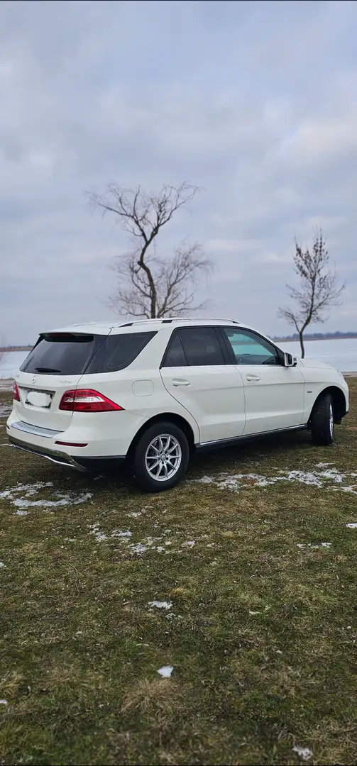 Mercedes-Benz ML 250 ML 250 BlueTEC 4MATIC Aut. DPF - 2