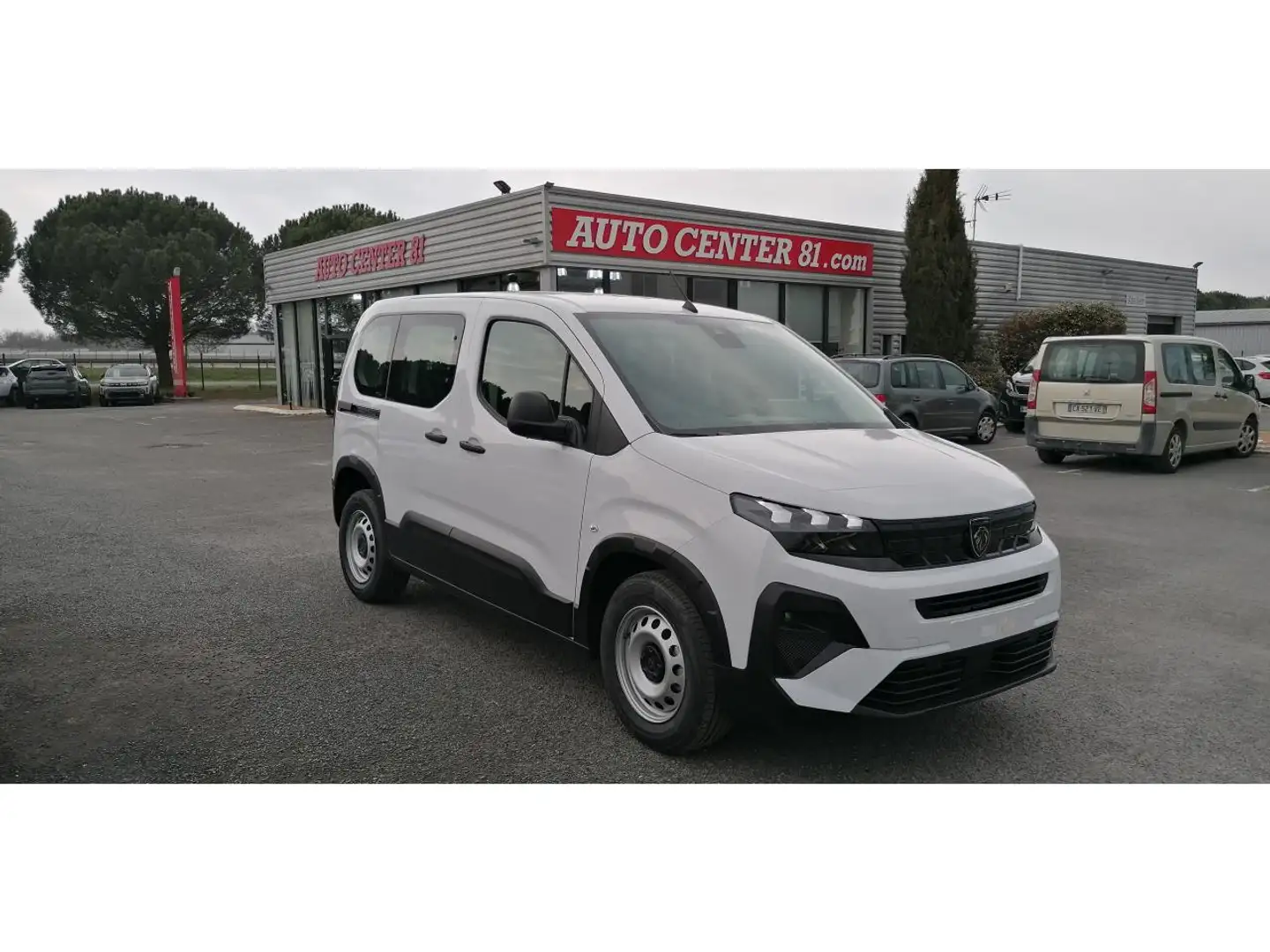 Peugeot Rifter N1 1.5 BlueHDI 100 Active Business PHASE 2 - 1