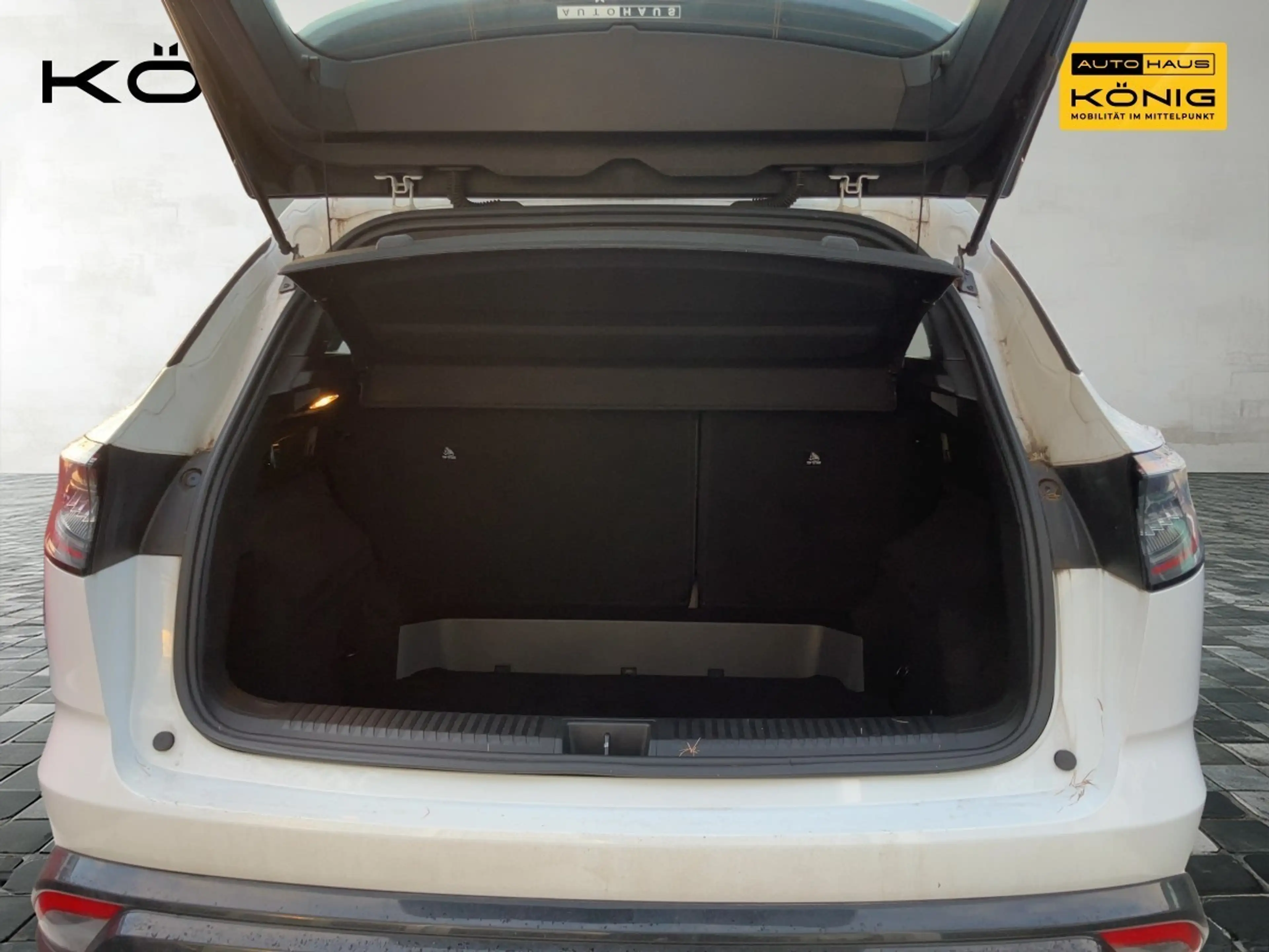 Renault Austral Austral Evolution 160 Automatik Full-LED — photo 5