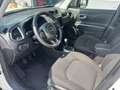 Jeep Renegade Renegade 1.6 mjt Limited 2wd 120cv Bianco - thumbnail 9