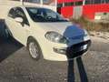 Fiat Punto Evo 5p 1.3 mjt Emotion s&s 95cv dualogic - thumbnail 1