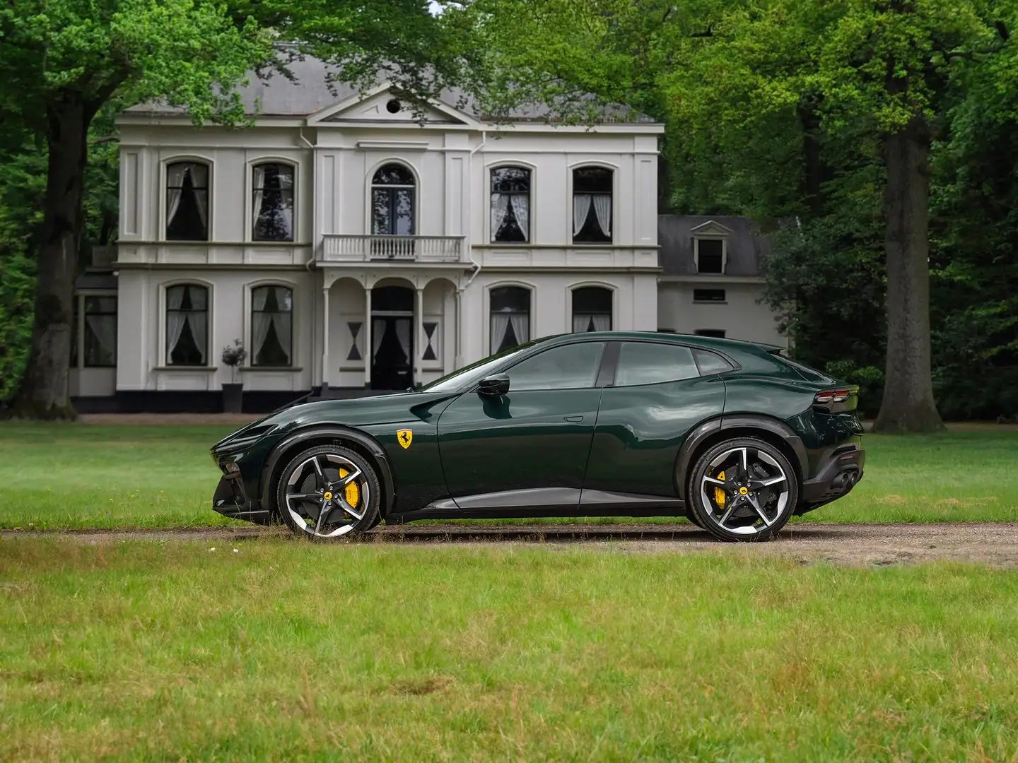 ferrari purosangue