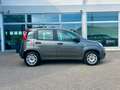 Fiat Panda Panda 1.2 Easy - thumbnail 4
