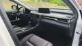 Lexus IV 3.5 VVTi 313 450h 4WD E-CVT Luxe Fairways - Pre Blanc - thumbnail 10