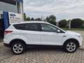 Ford Kuga 2.0 tdci Titanium 2wd 140cv Bianco - thumbnail 5