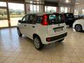 Fiat Panda Panda III 0.9 t.air t. natural power Lounge 80cv Wit - thumbnail 7