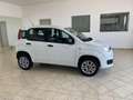 Fiat Panda Panda III 0.9 t.air t. natural power Lounge 80cv Wit - thumbnail 4