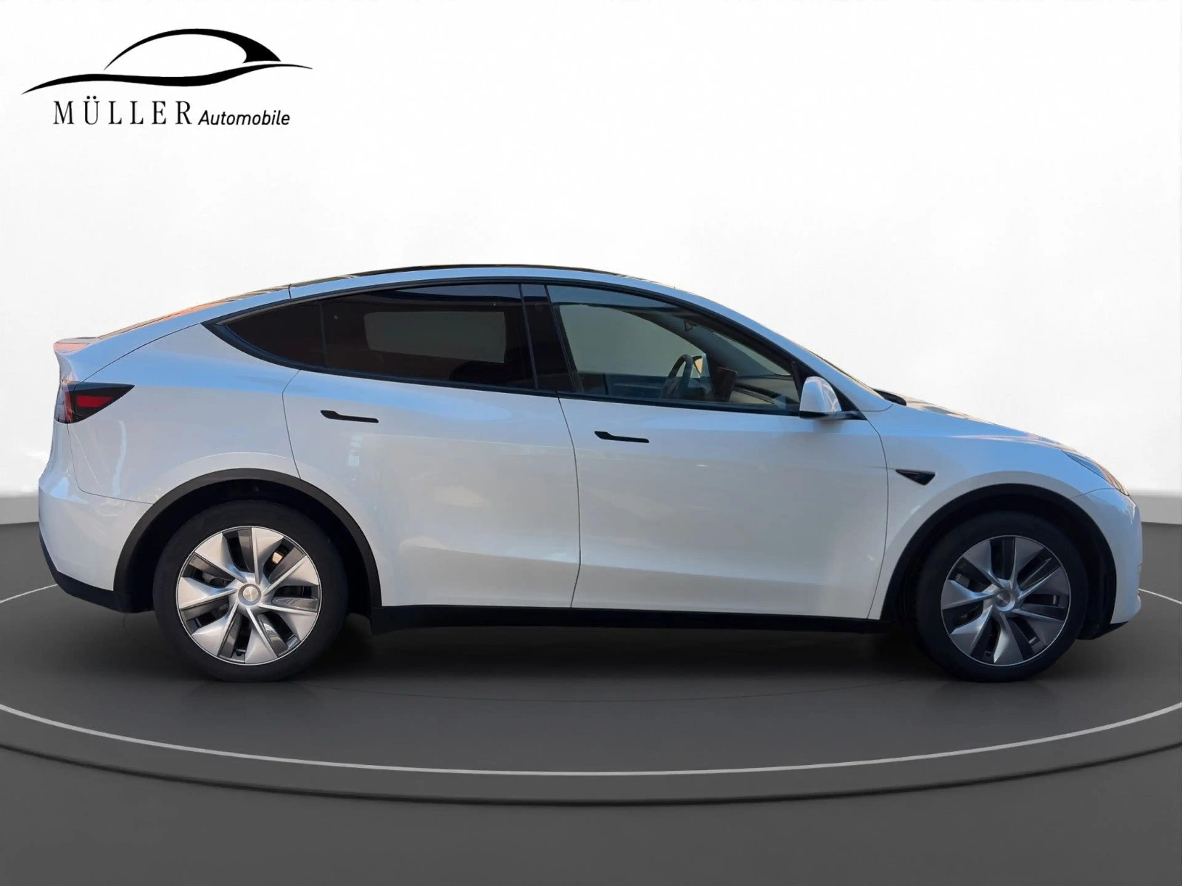 Tesla Model Y Long Range Dual AWD AHK — photo 5