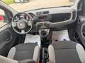 Fiat Panda 1.0 FireFly S&S Hybrid NEOPATENTATI Grigio - thumbnail 15