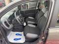 Fiat Panda 1.0 FireFly S&S Hybrid NEOPATENTATI Grigio - thumbnail 7