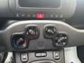 Fiat Panda 1.0 FireFly S&S Hybrid NEOPATENTATI Grigio - thumbnail 11