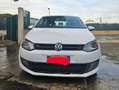 Volkswagen Polo Polo V 2009 5p 1.6 tdi Comfortline Bianco - thumbnail 3