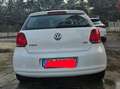 Volkswagen Polo Polo V 2009 5p 1.6 tdi Comfortline Bianco - thumbnail 4