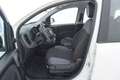 Fiat Panda Easy 1.2 Benzina 69CV Bianco - thumbnail 10