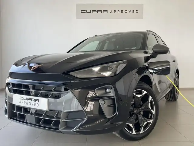Cupra Terramar view 9