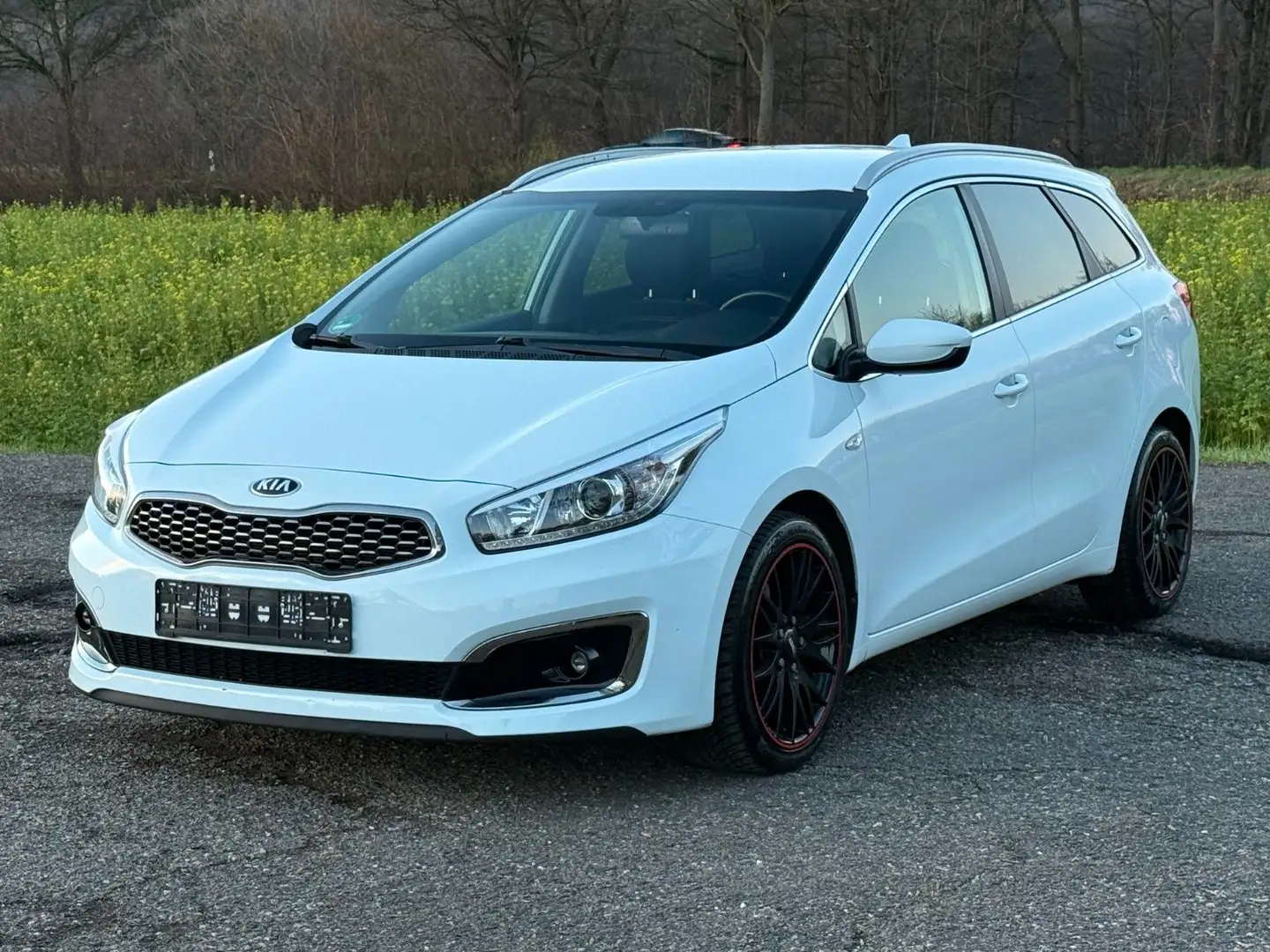 Kia Ceed SW / cee'd SW 1.6 GDI Dream Team Kamera Navi Weiß - 1