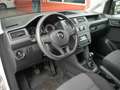 Volkswagen Caddy VW Caddy 1,4 TGI LKW KLIMA AHK SITZHEIZUNG CNG White - thumbnail 10