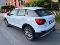 Audi Q2 Q2 30 TFSI Design S tronic (EU6d-TEMP) Blanc - thumbnail 6