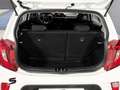 Kia Picanto 1.0 CVVT 49kW (67CV) Concept Blanc - thumbnail 11