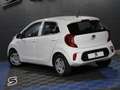 Kia Picanto 1.0 CVVT 49kW (67CV) Concept Blanc - thumbnail 4