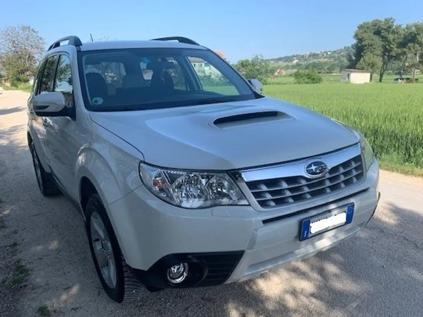 Subaru Forester Forester 2.0d XS Exclusive Bianco - 1
