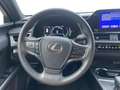Lexus UX 300h NEW 300h + Carplay Nero - thumbnail 8