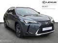 Lexus UX 300h NEW 300h + Carplay Zwart - thumbnail 16