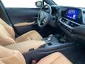 Lexus UX 300h NEW 300h + Carplay Nero - thumbnail 6