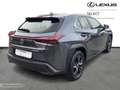 Lexus UX 300h NEW 300h + Carplay Nero - thumbnail 15