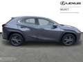 Lexus UX 300h NEW 300h + Carplay Nero - thumbnail 14