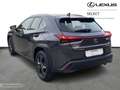 Lexus UX 300h NEW 300h + Carplay Nero - thumbnail 2