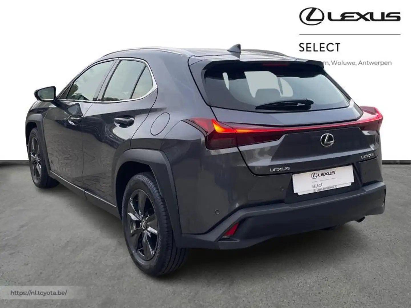 Lexus UX 300h NEW 300h + Carplay Nero - 2