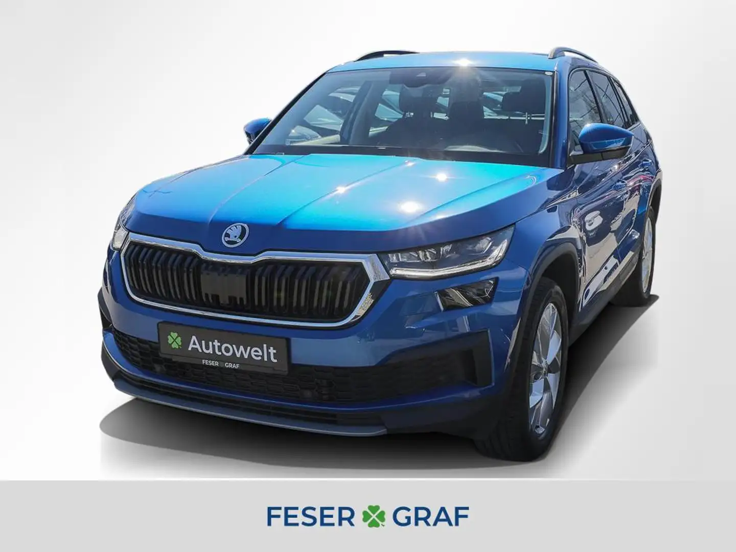 Skoda Kodiaq 2.0 TDI 4x4 Tour AHK Matrix Navi Standh. Blu/Azzurro - 1