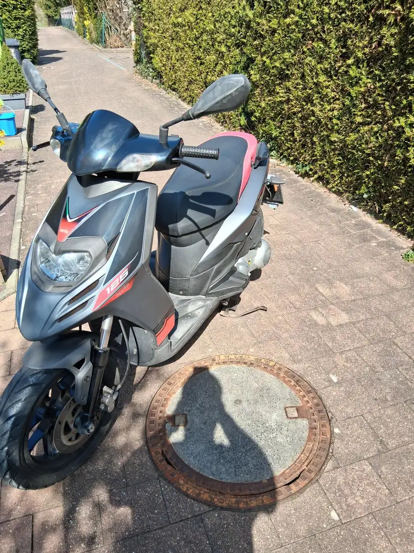 Piaggio Typhoon New Typhoon 125 Gris - 1