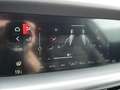 Alfa Romeo Stelvio VELOCE 2.2 DIESEL 16V 210 PS AT8 Q4 Schwarz - thumbnail 29