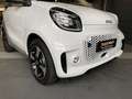 smart forTwo smart EQ passion Exclusive LED Panorama Kamera BC Weiß - thumbnail 16