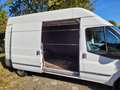 Ford Transit Transit/Tourneo 115 T300 Hochdach Länge 5782mm Weiß - thumbnail 6