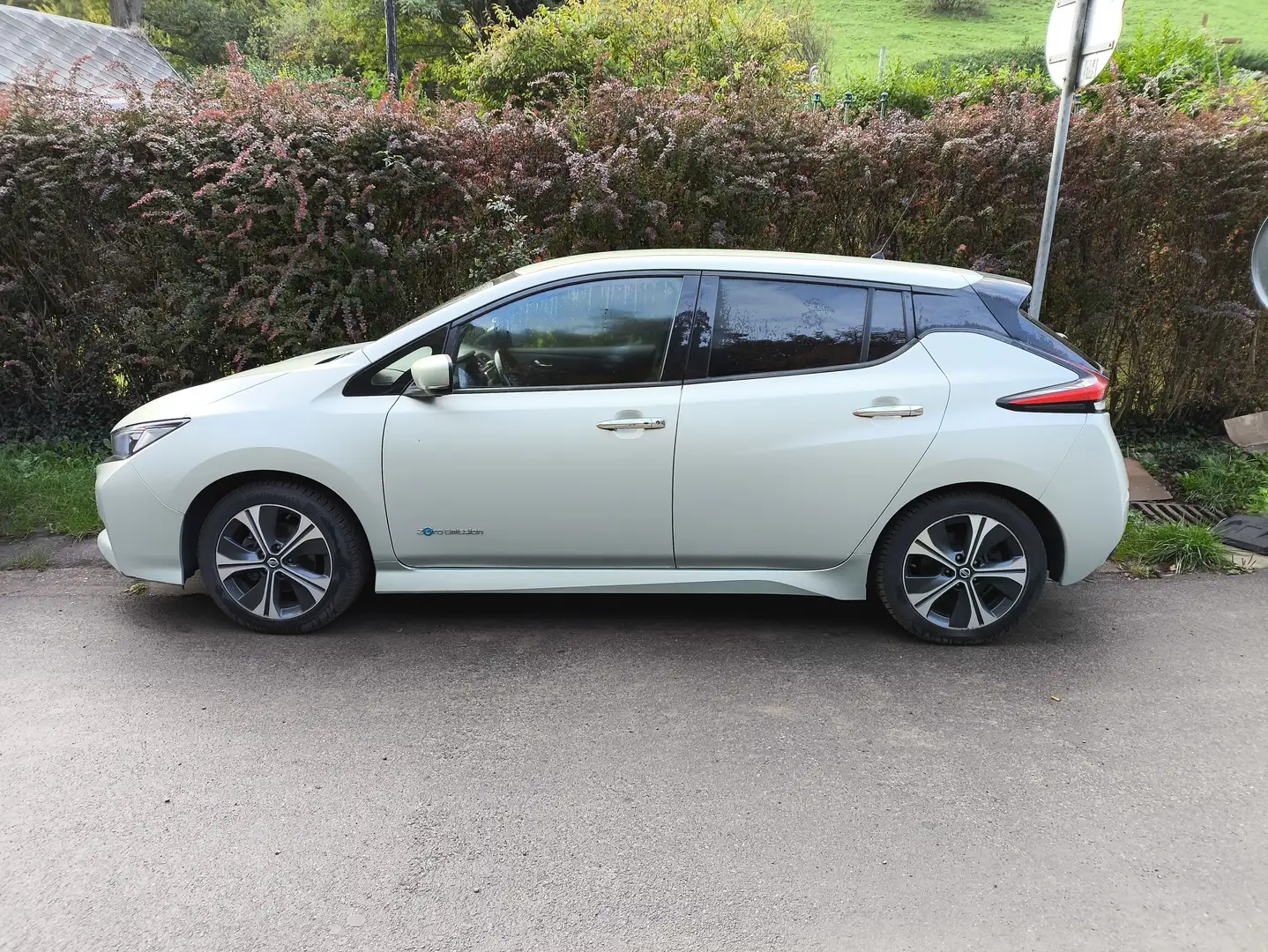 Nissan Leaf Leaf 40 kWh N-Connecta (EU6.2) Green - 2