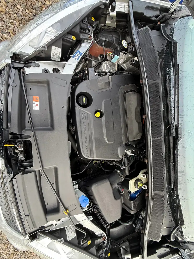 Ford S-Max 7 Sitzer Szary - 2