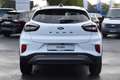 Ford Puma TITANIUM Hybrid, Ganzjahresreifen Wit - thumbnail 4