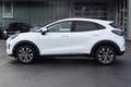 Ford Puma TITANIUM Hybrid, Ganzjahresreifen Wit - thumbnail 7