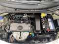 Citroen C3 C3 1.1 Exclusive 60cv - Neopatentati Argent - thumbnail 14