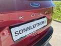 Ford Kuga KUGA Titanium 2,5 Duratec Hybrid AWD Rot - thumbnail 15