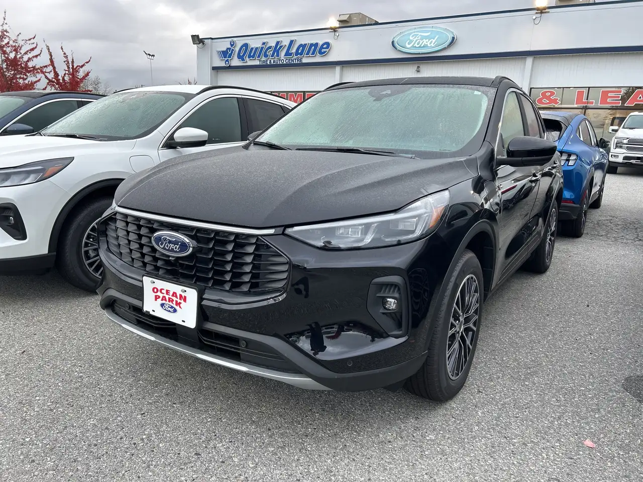 2025 Ford Escape
