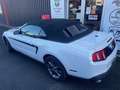 Ford Mustang Convertible V6 3,7L CLUB OFF AMERICA White - thumbnail 6