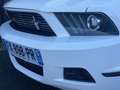Ford Mustang Convertible V6 3,7L CLUB OFF AMERICA White - thumbnail 15