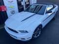 Ford Mustang Convertible V6 3,7L CLUB OFF AMERICA White - thumbnail 3